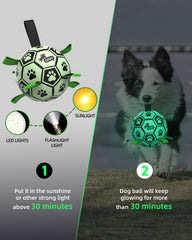 Ballon football lumineux QDAN attirant l’attention du chien pour des sessions dynamiques.