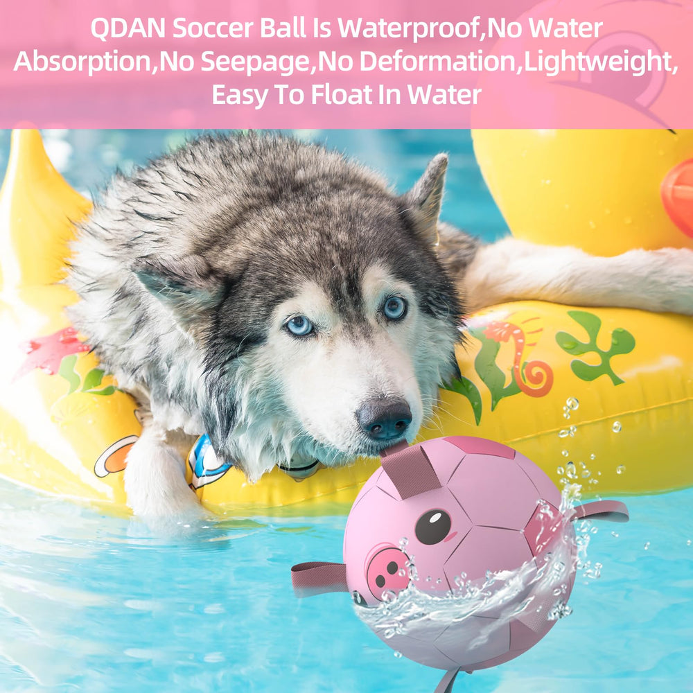 QDAN balle-football-jouet-educatif-pour-chien: stimule les réflexes et l’endurance.
