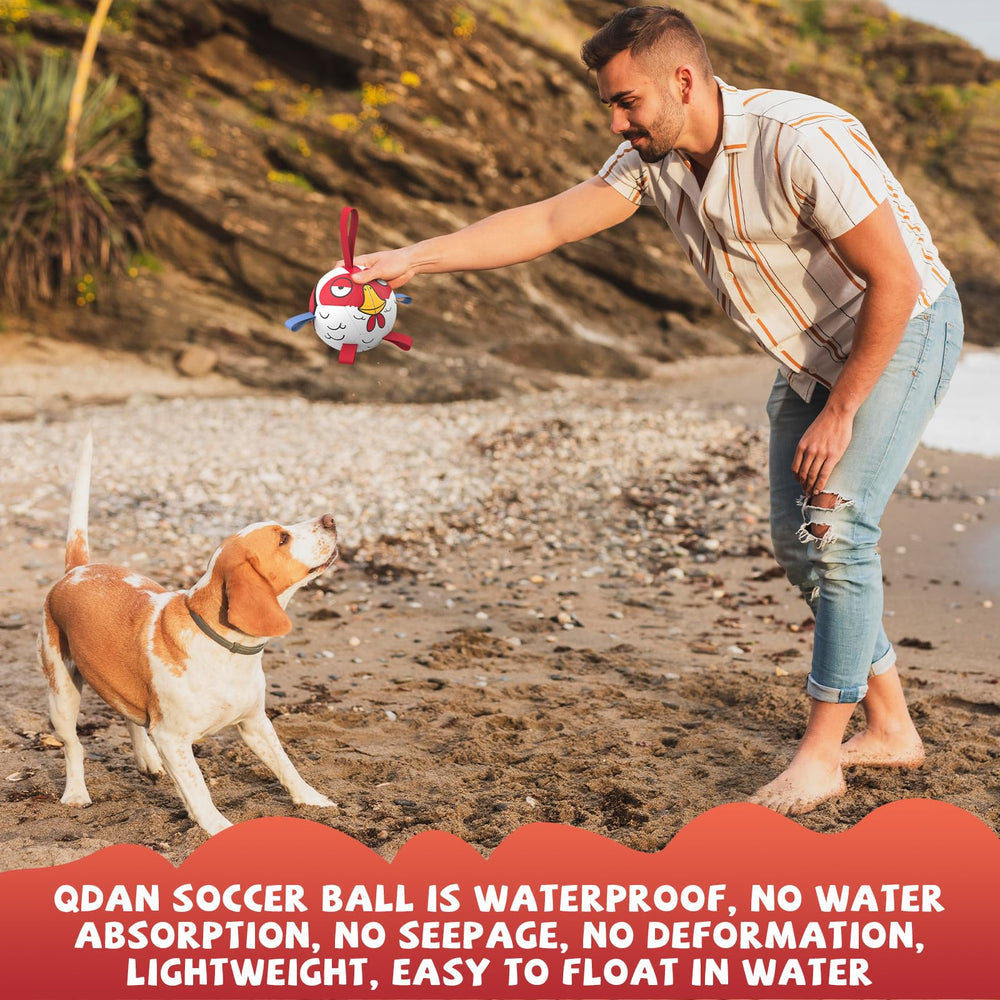 QDAN balle-football petite taille adaptée aux chiens très petits.