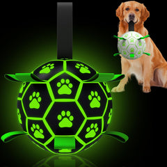 Balle lumineuse QDAN pour chien, idéale pour jouer et retrouver rapidement le jouet la nuit.