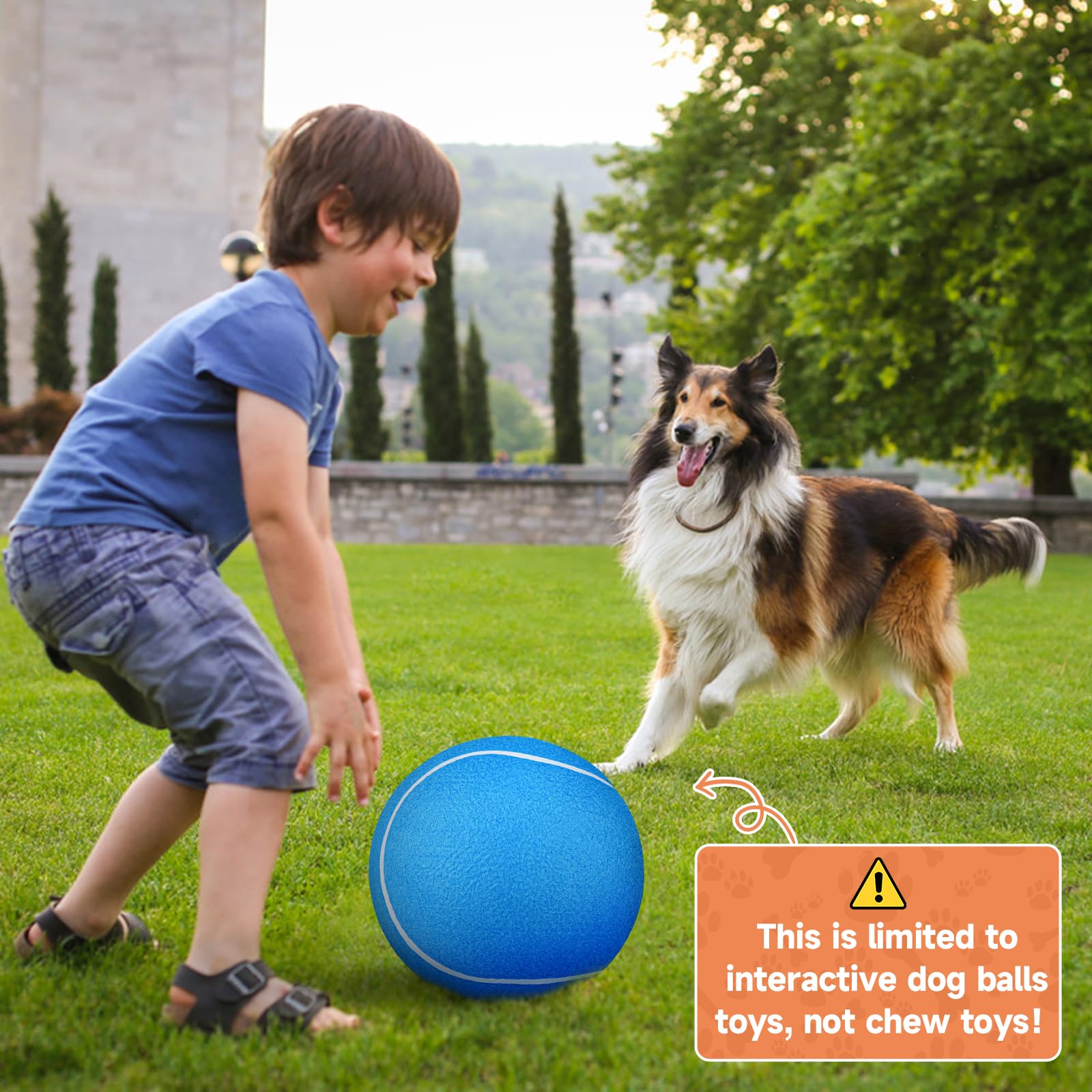 Chien interagissant avec la balle géante QDAN lors d’un jeu intimité et énergie.