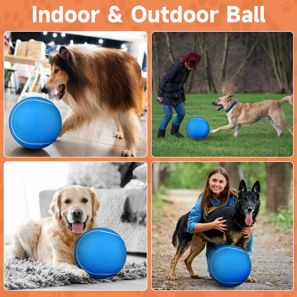 Accessoires inclus: pompe et aiguille avec la balle QDAN pour chiens.