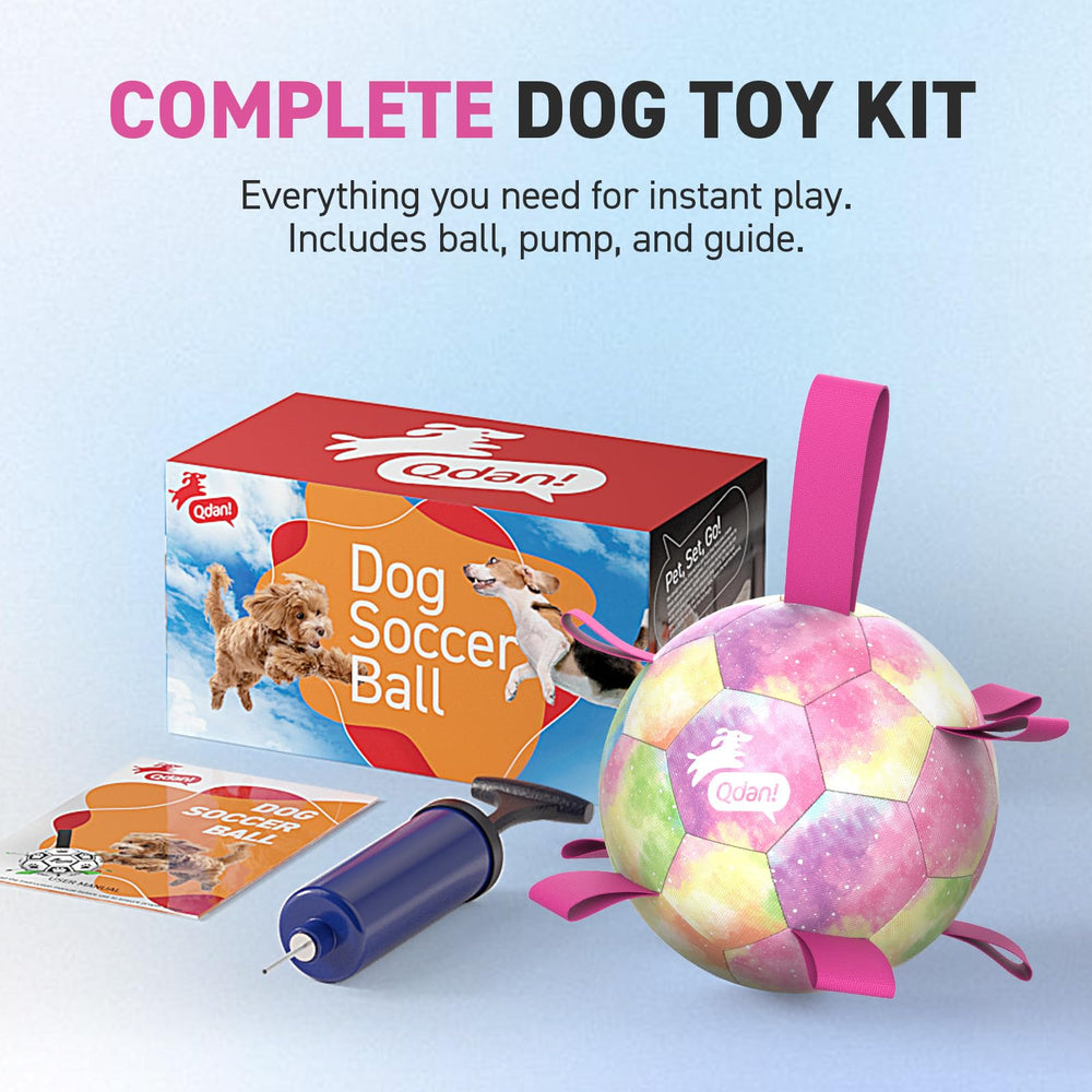 Jouet cadeau d’anniversaire QDAN, couleur arc-en-ciel pour chien joyeux.