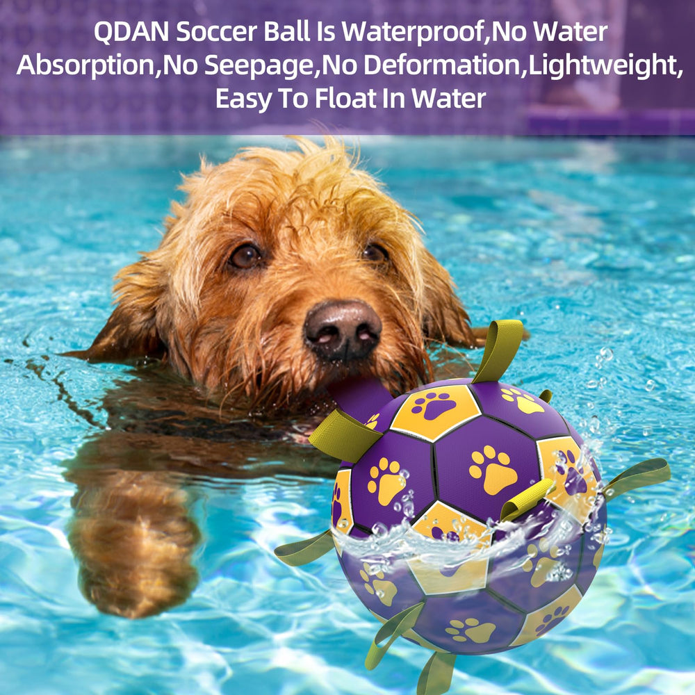 Ballon QDAN résistant adapté aux petits et moyens chiens.