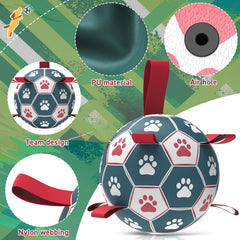 QDAN ballon-rebond-erratique-chien: stimule mouvement et curiosité.
