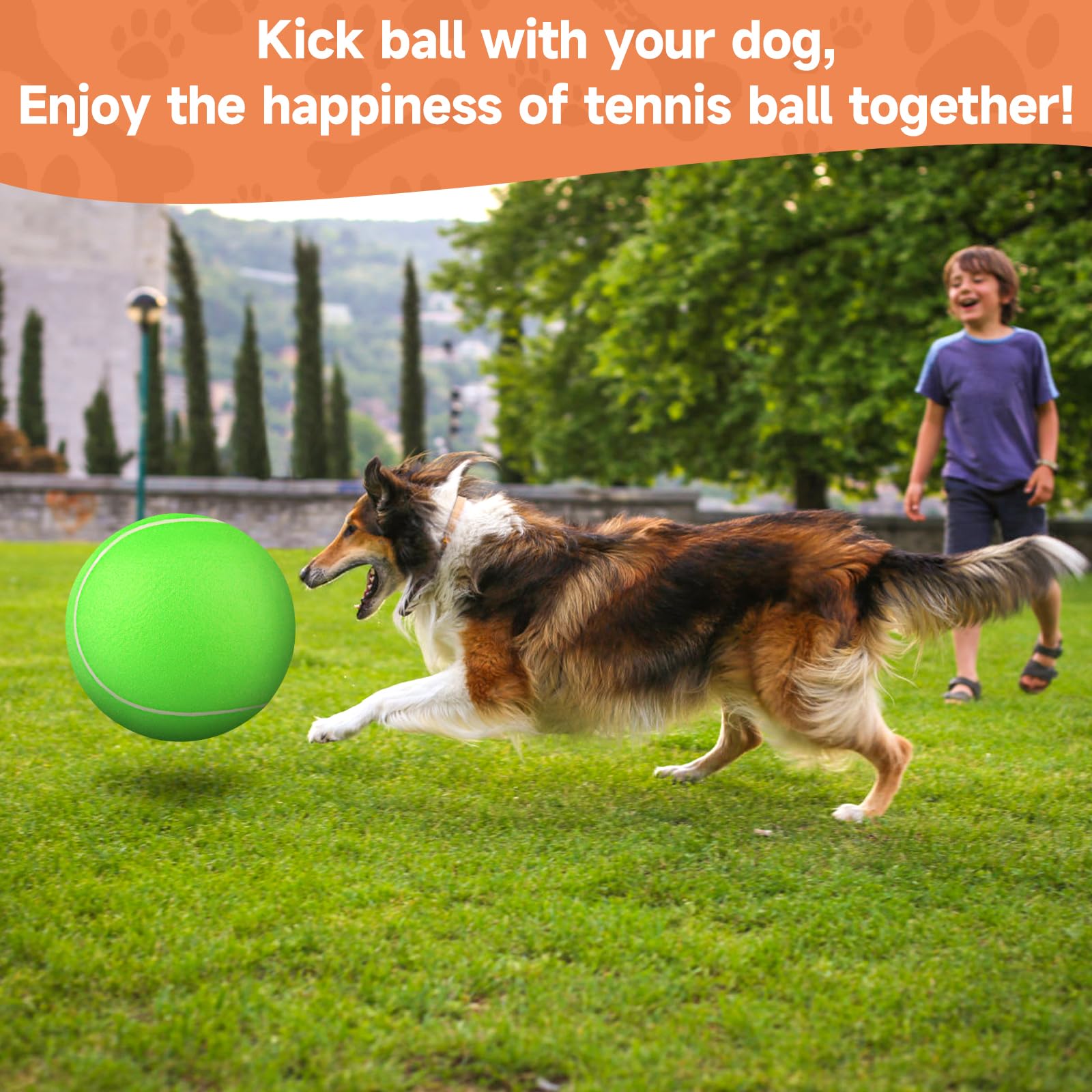 QDAN jouet-chien interactif balle-tennis, favorise interaction et jeu intérieur/extérieur.