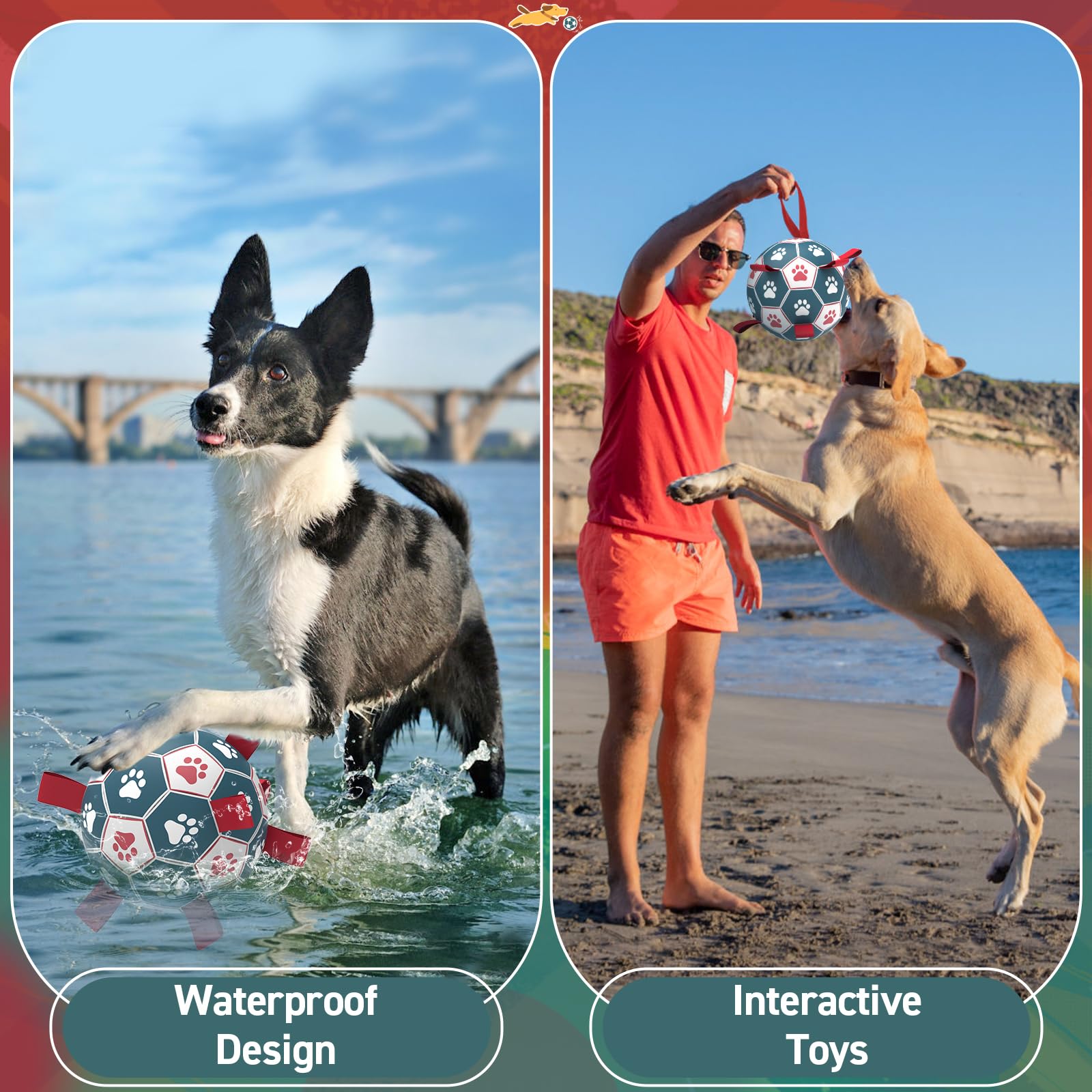 QDAN jouet-eau-chien-ballon-piscine: idéal pour jeux dans l'eau.