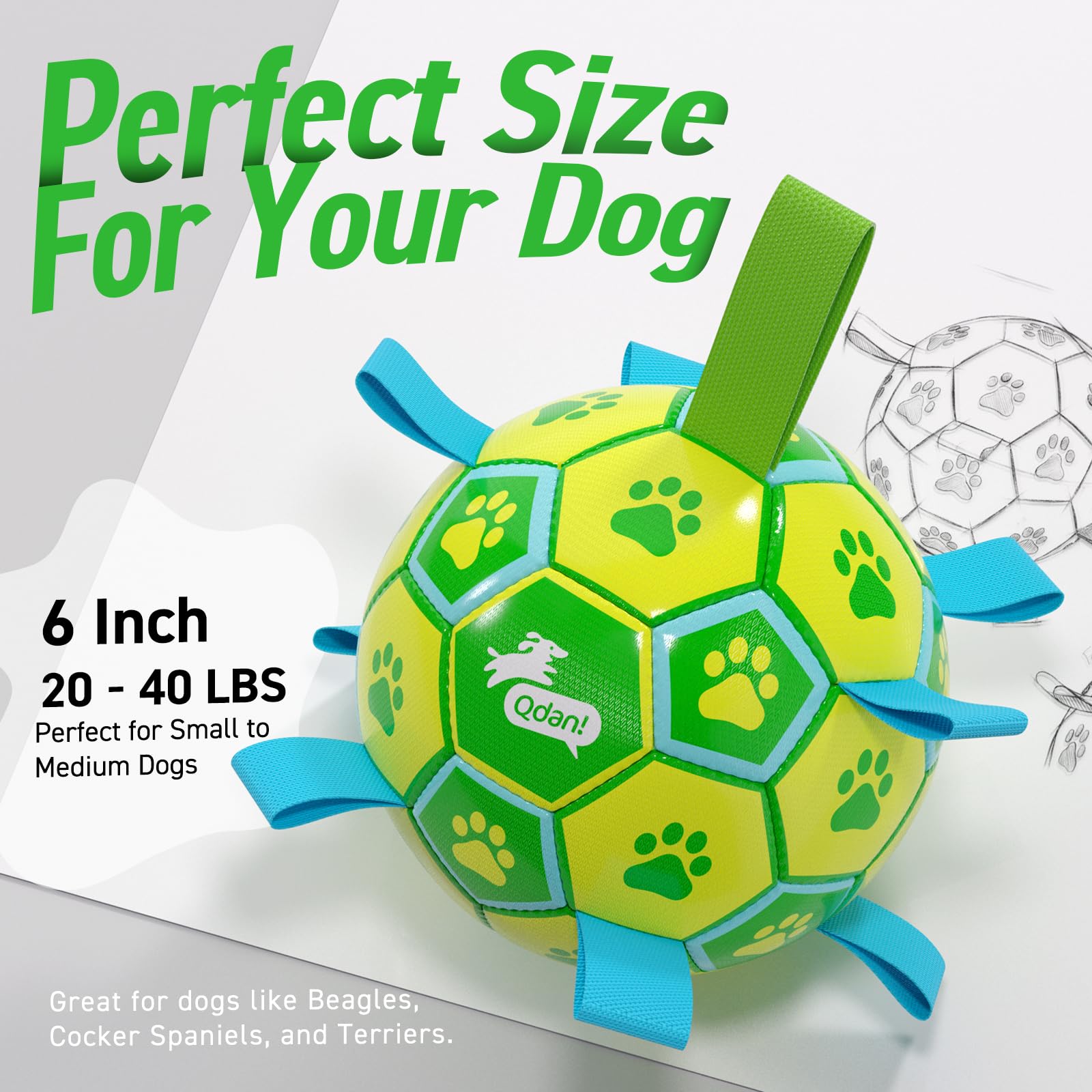 QDAN Lancer-rapporter-chien: pratique et durable
