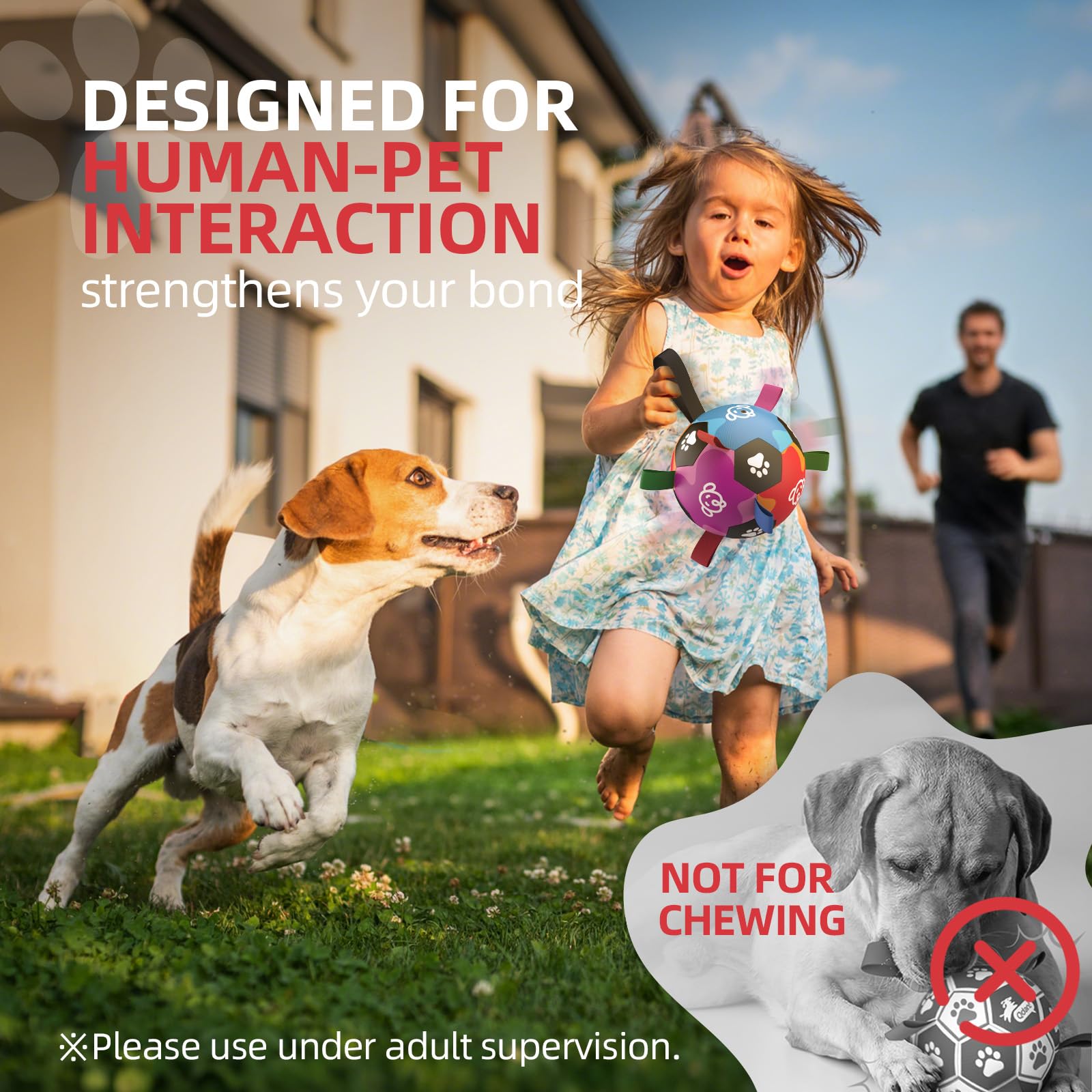 QDAN balle-chien avec sangles roses, design coloré pour capter l'attention