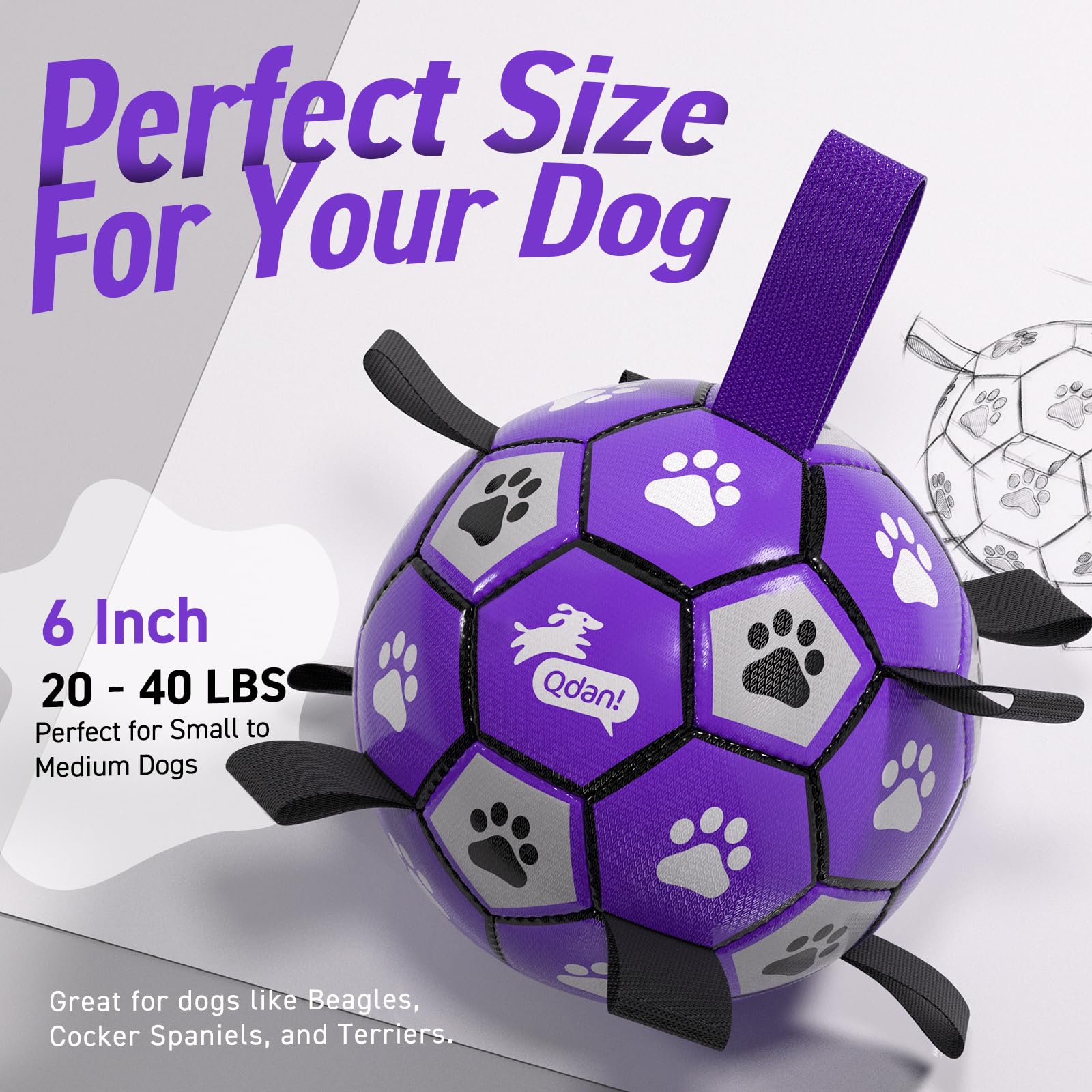 QDAN balle-cadeau anniversaire chien, parfait pour cadeau ludique.