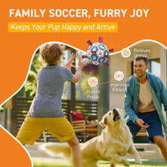 QDAN balle chien-nylon attaches, facilite le fetch et le tir.