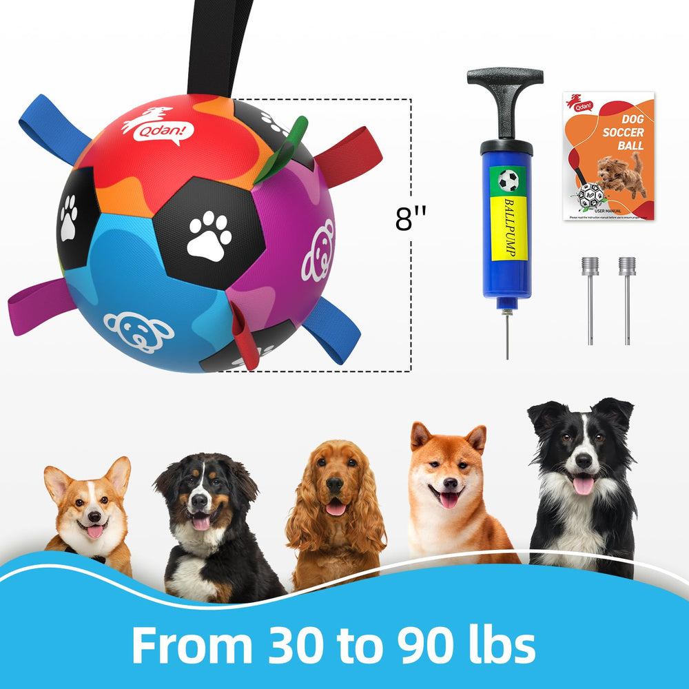 QDAN balle couleurs vives, visuelle et attrayante pour chiens