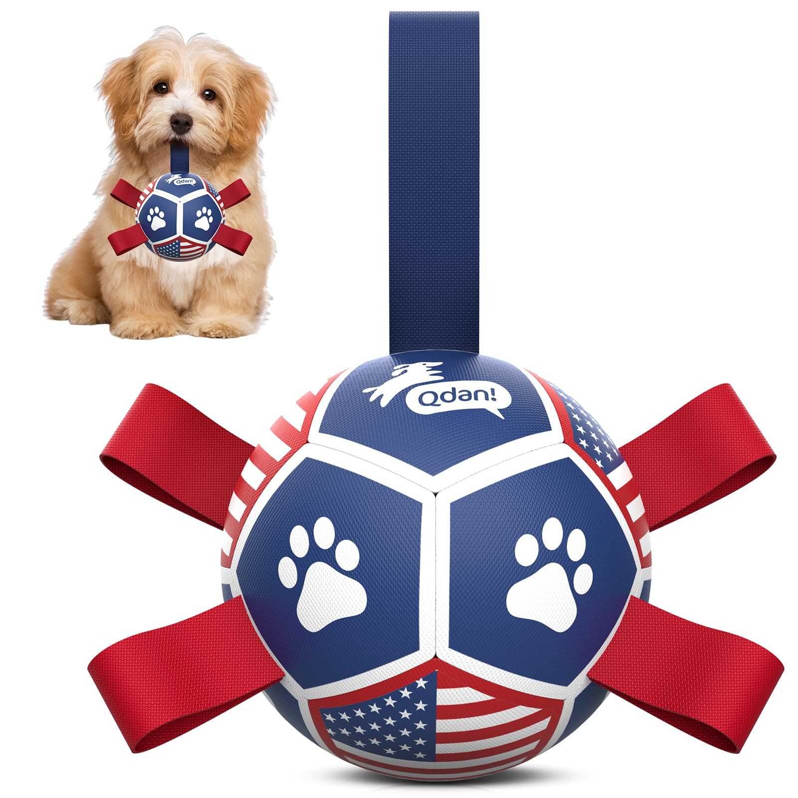 QDAN balle-foot pour petit chien, durable et rebondissante pour le jeu quotidien.