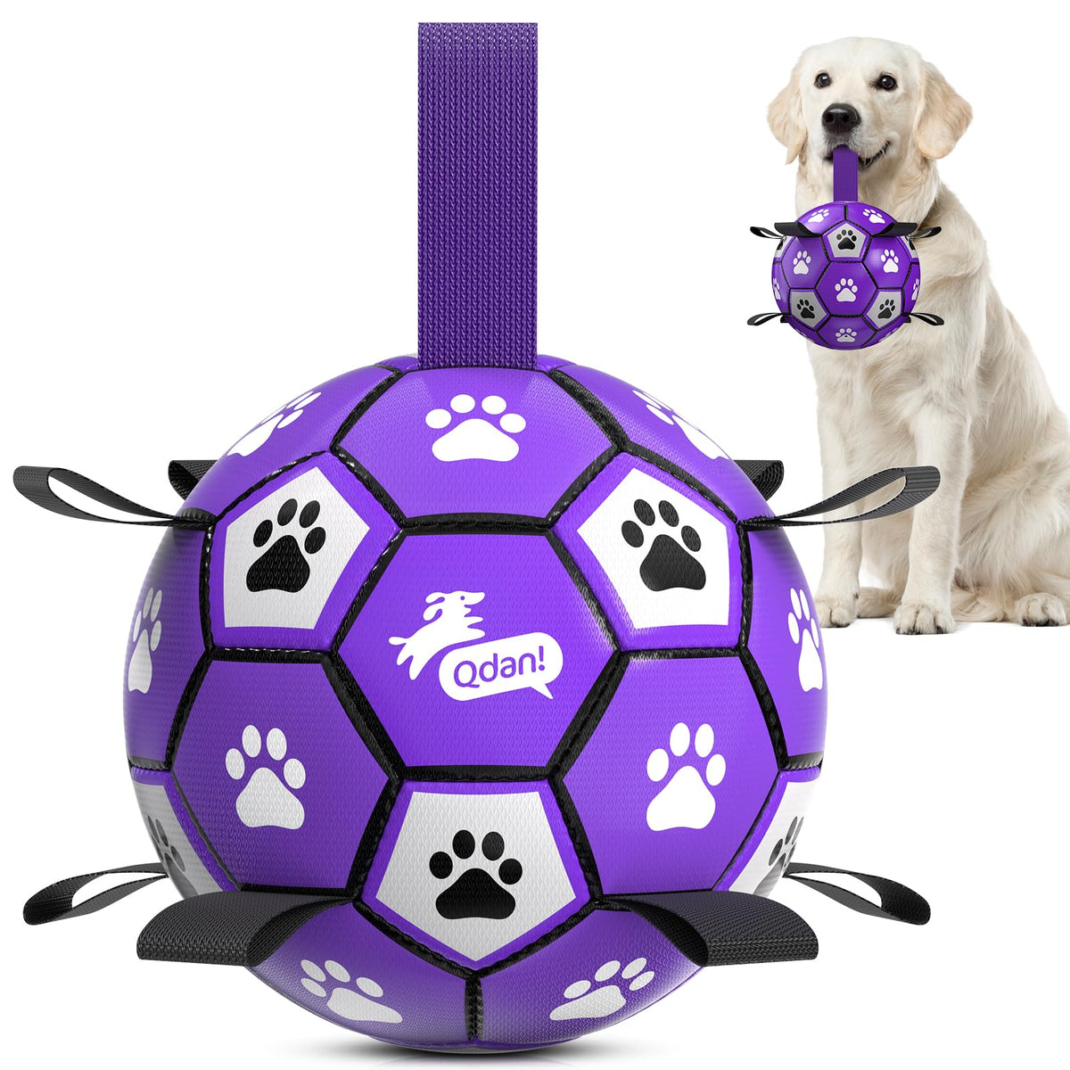 QDAN balle-football pour chien grande, idéal pour jeux extérieurs et exercices.