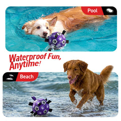 QDAN balle-jouet-eau pour chien, parfaite pour baignade et amusements aquatiques.