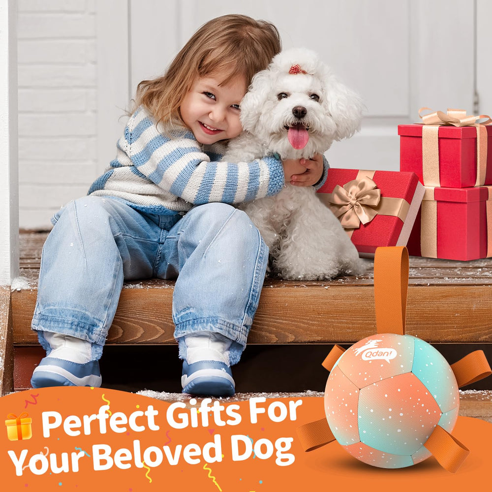 QDAN balle-petit-chien-avec-pattes-en-nylon, facilite les jeux de récupération.