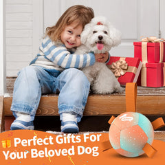 QDAN balle-petit-chien-avec-pattes-en-nylon, facilite les jeux de récupération.