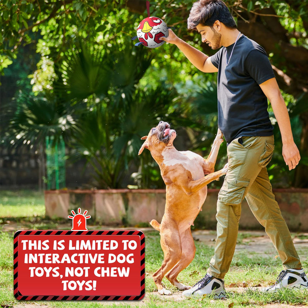 Balle QDAN taille moyenne 6 pouces adaptée pour petits et moyens chiens.