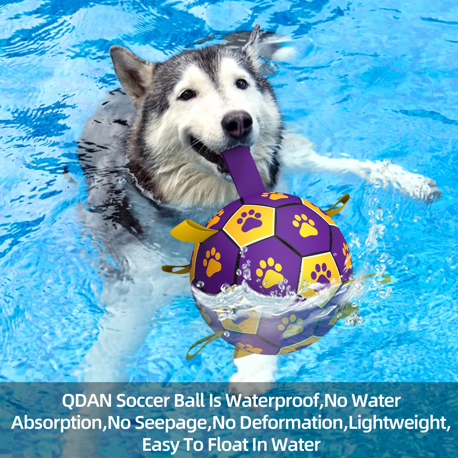 QDAN ballon aquatique pour chien qui flotte, pratique en extérieur et à la plage.