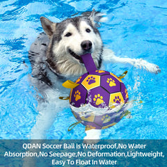 QDAN ballon aquatique pour chien qui flotte, pratique en extérieur et à la plage.