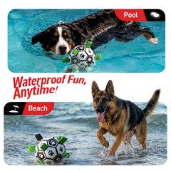 QDAN Ballon chien avec sangles longues, pratique pour attraper et lancer.