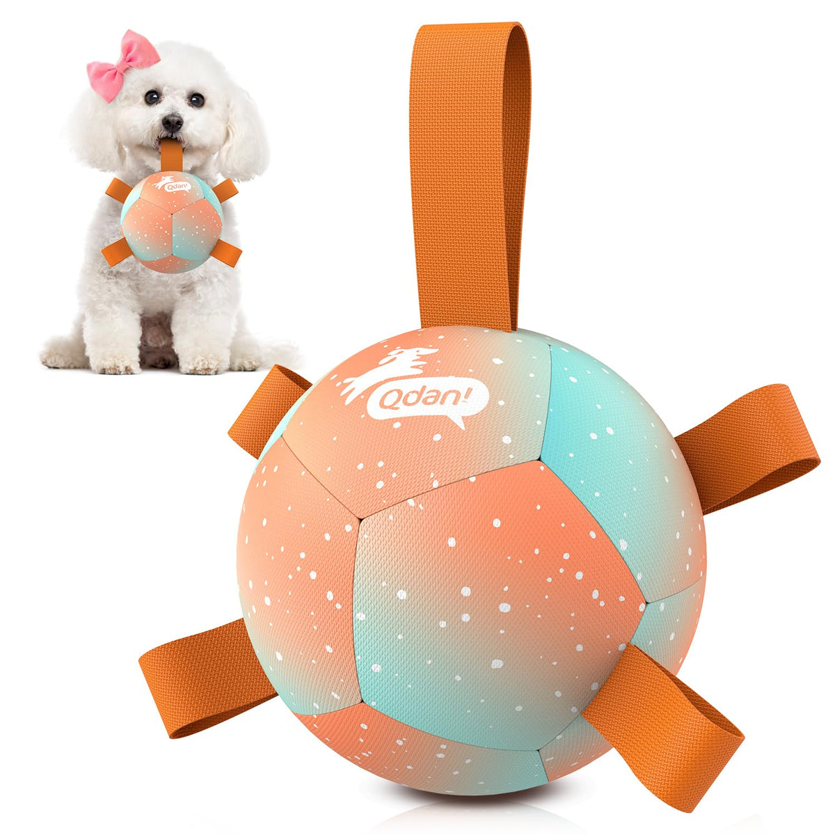 QDAN ballon-de-foot-pour-chien-petit-avec-sangles, rebond stimulant pour jeux actifs.