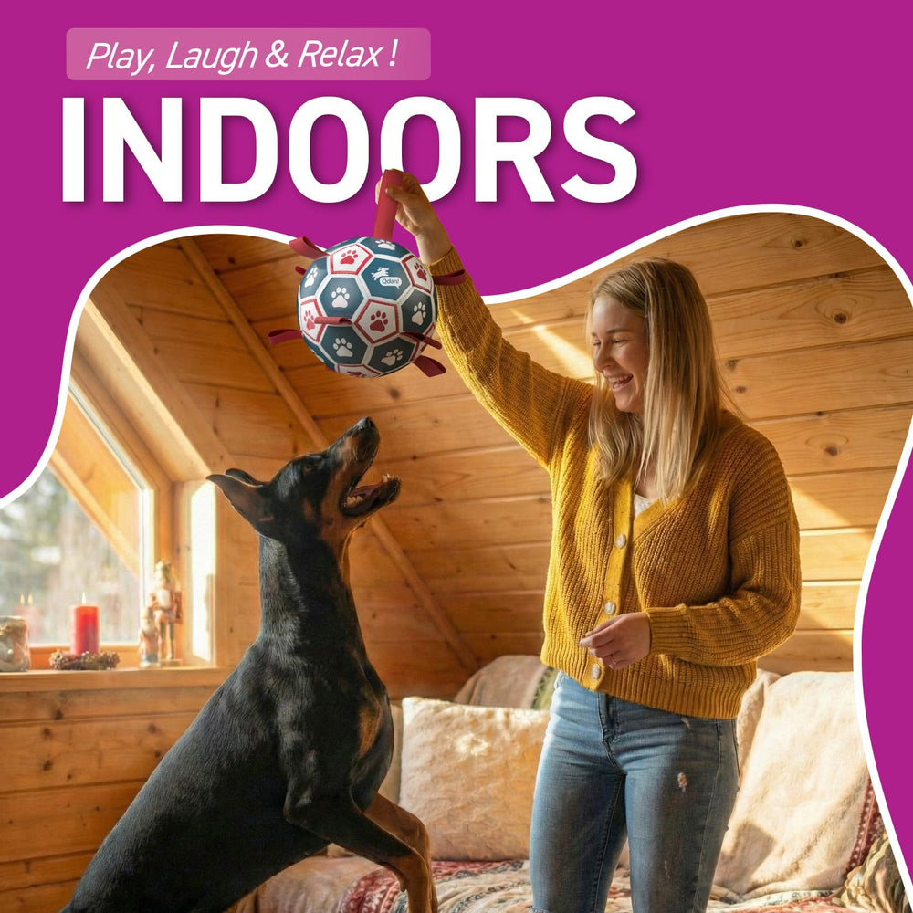 QDAN Ballon-football grande taille pour chiens puissants