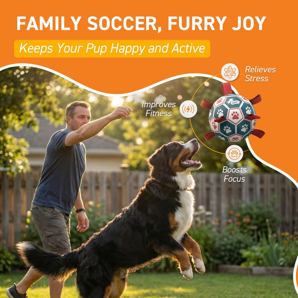 QDAN Ballon-football pour chien avec lanières longues pour prise facile