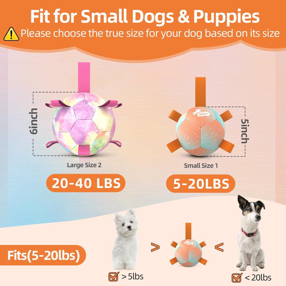 QDAN ballon-petits-chiens-diametre-12-7-cm, adapté-5-9-kg, parfait pour petits chiens.