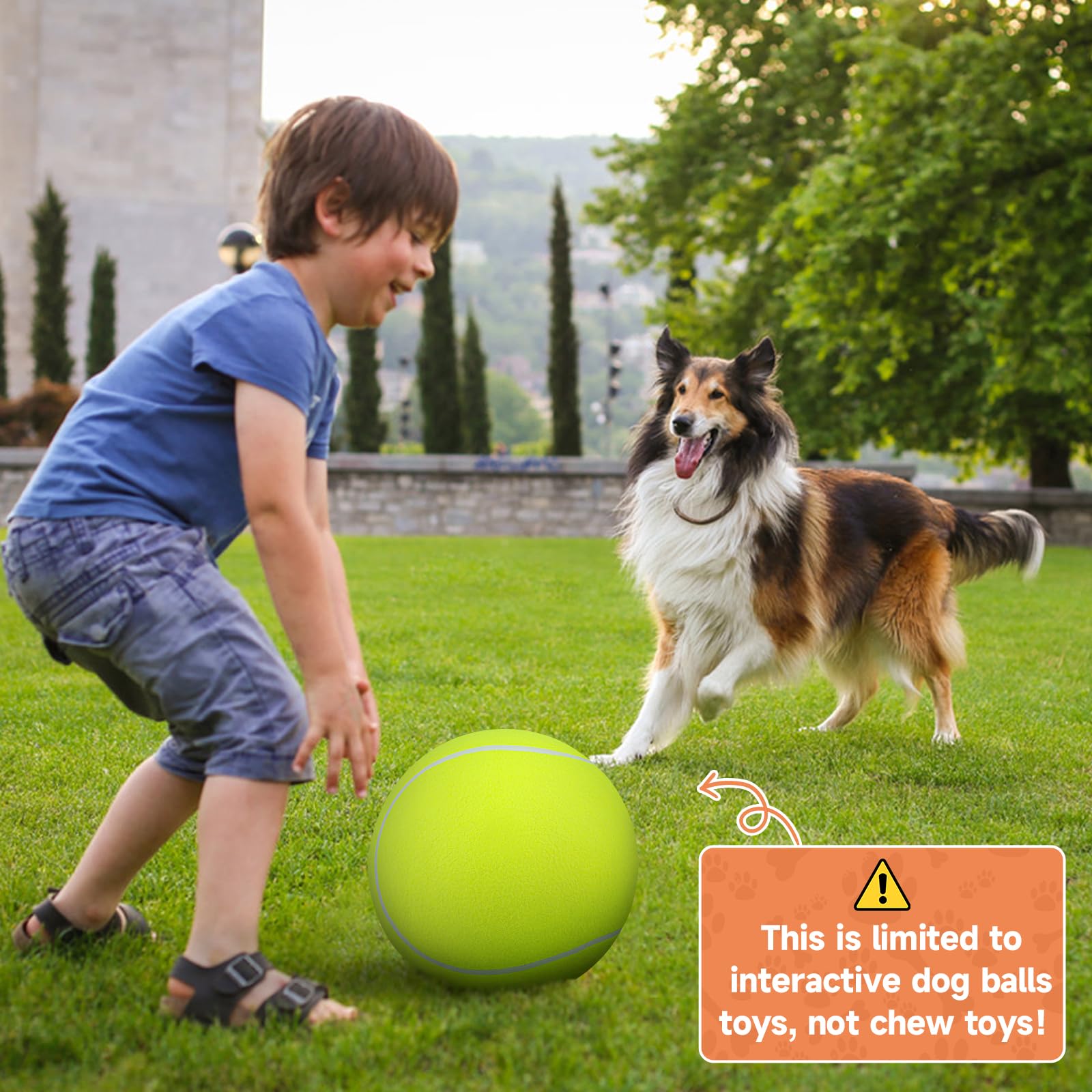 QDAN balle tennis chien, parfait cadeau pour anniversaire ou fêtes.