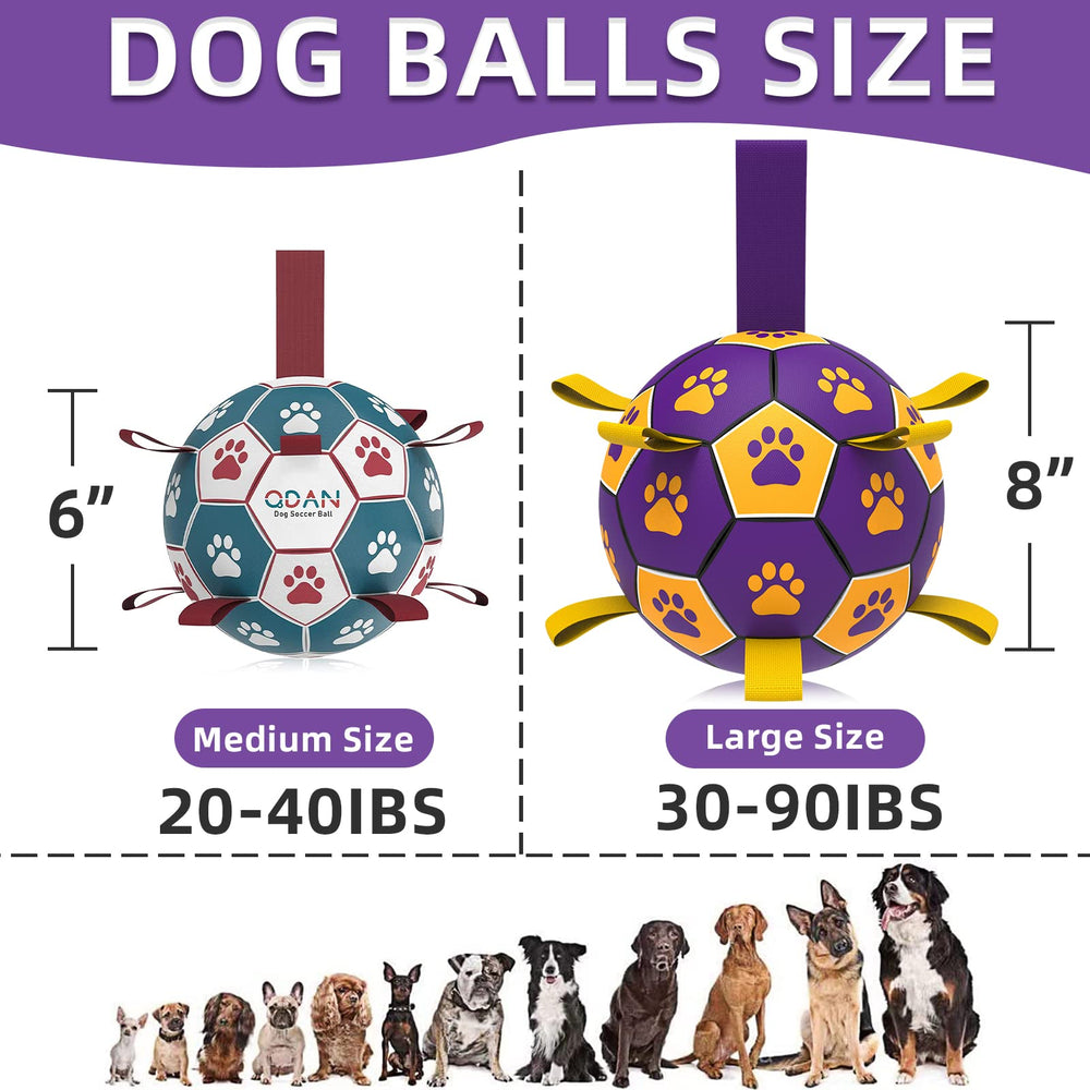 QDAN jouet interactif pour chien, stimule l'exercice et la coordination.