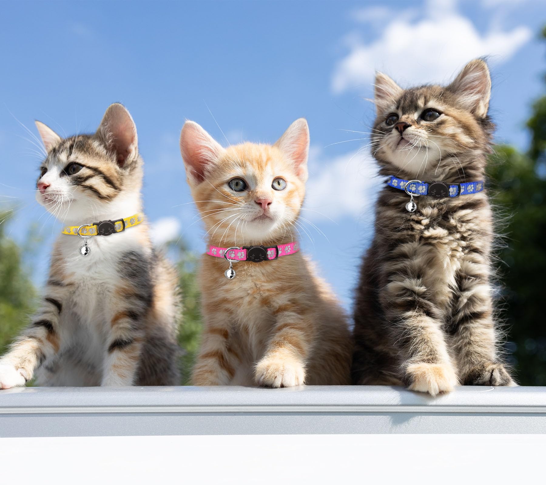QDYU collier réfléchissant avec patte, meilleure visibilité nocturne pour votre chat.