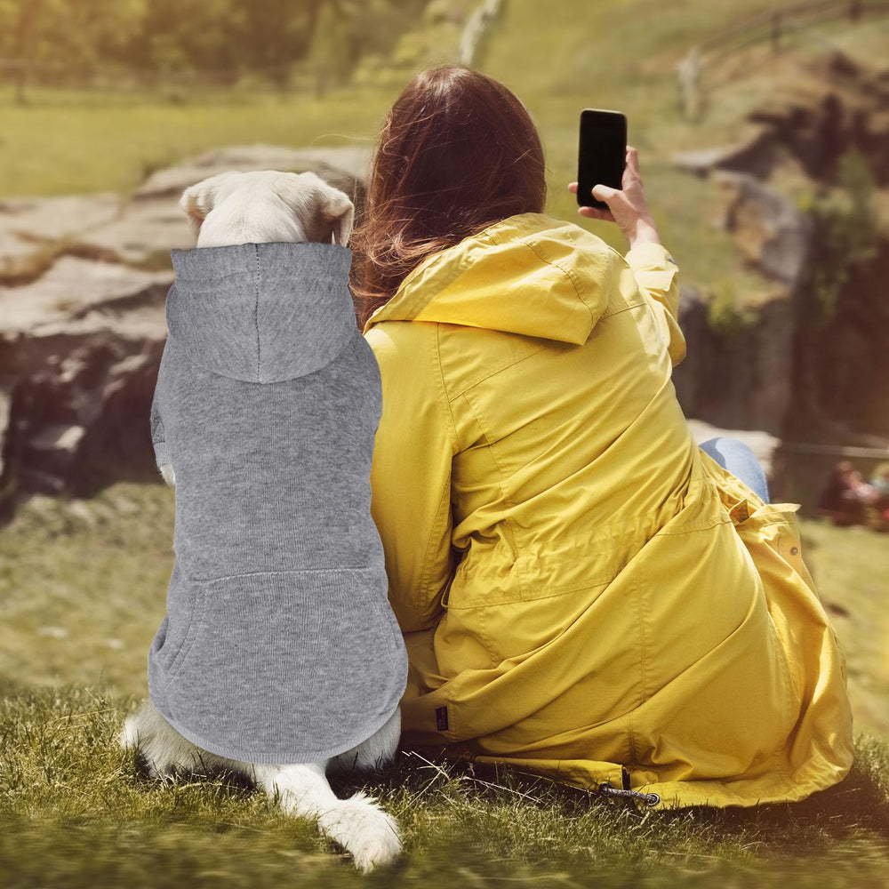 QDYU veste pour chien vue arrière, silhouette simple et élégante.