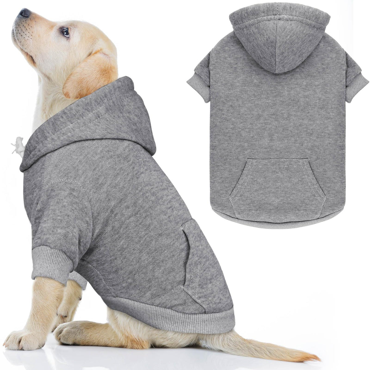 QDYU veste pour chien vue avant, confort et chaleur pour les promenades quotidiennes.