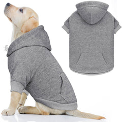 QDYU veste pour chien vue avant, confort et chaleur pour les promenades quotidiennes.