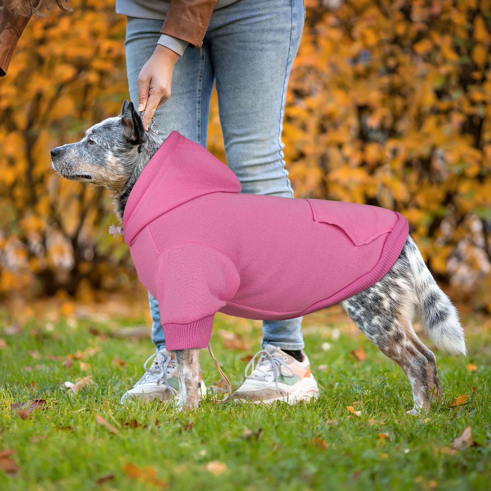Pull rose QDYU, confort chic pour les sorties quotidiennes et les promenades.