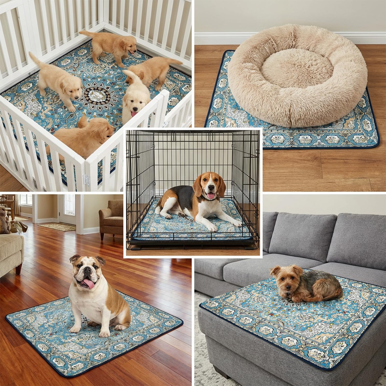 qeils tapis chiens certification oeko-tex