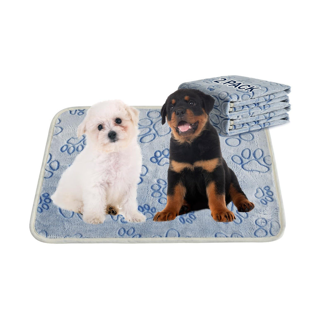 Tapis Qeils pour chiot réutilisable et absorbant prêt à l'entraînement.