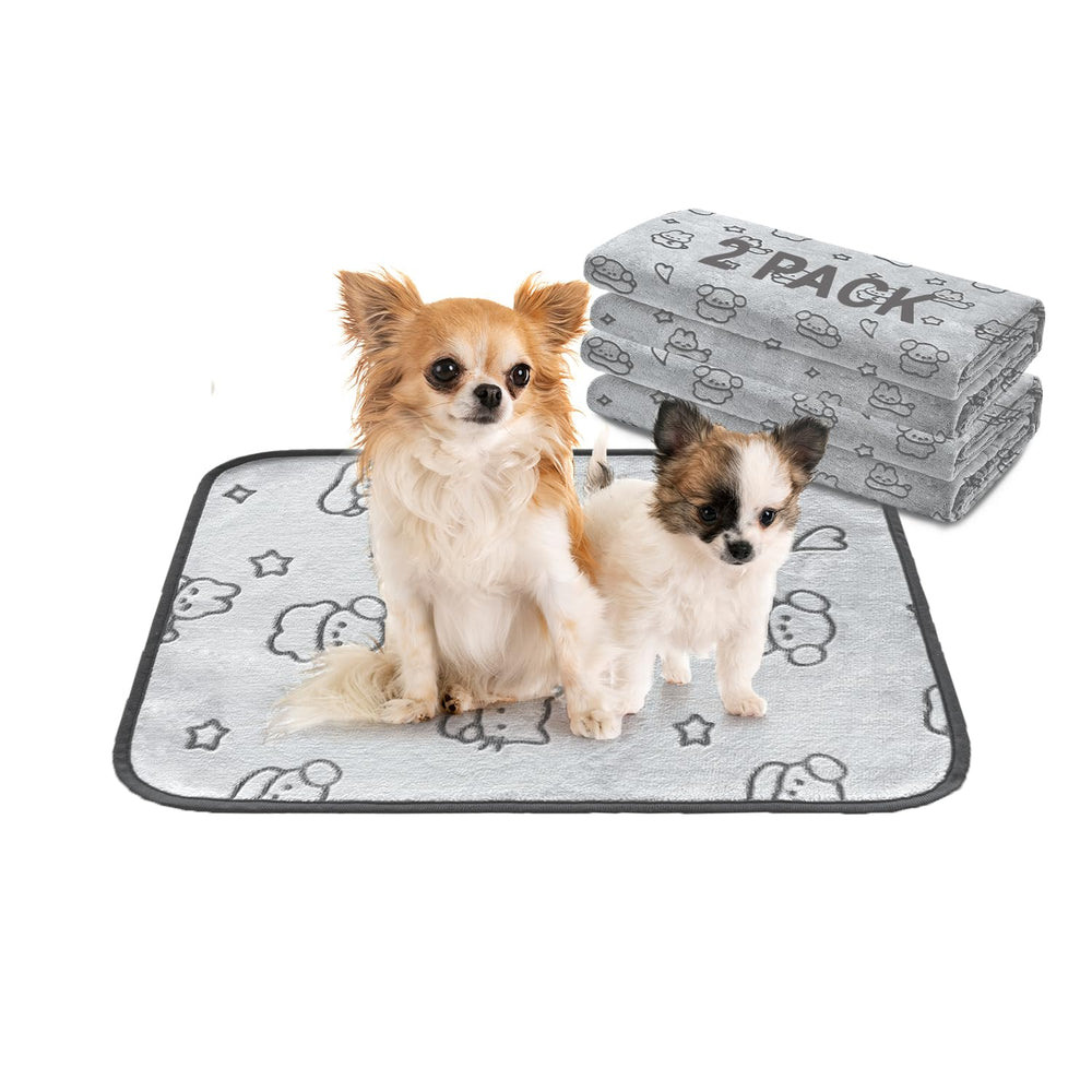 Tapis éducateur Qeils absorbant pour chien, pratique pour l'entraînement et la propreté.