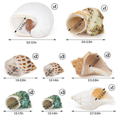 Coquille QEQEKAKA pour crabe ermite, taille moyenne pour remplacement