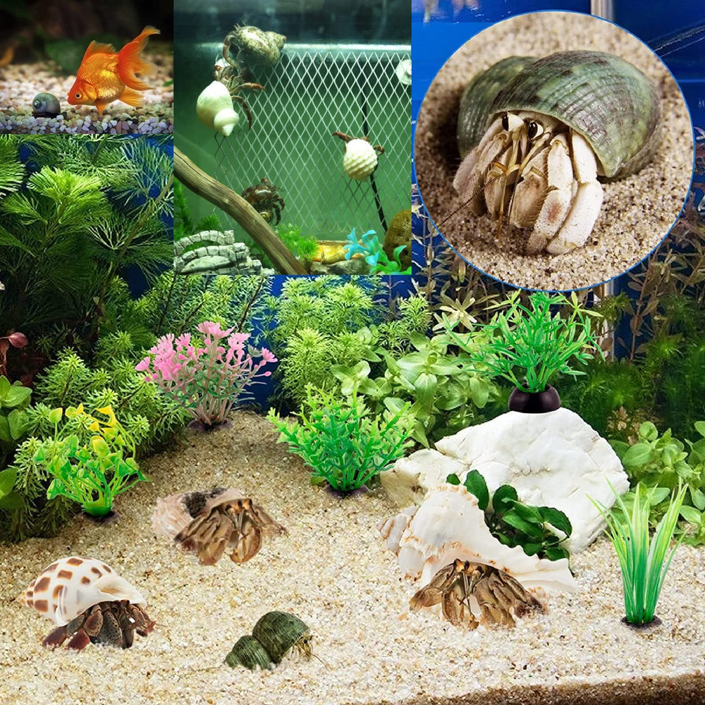 Coquilles décoratives QEQEKAKA pour aquarium, aspect naturel
