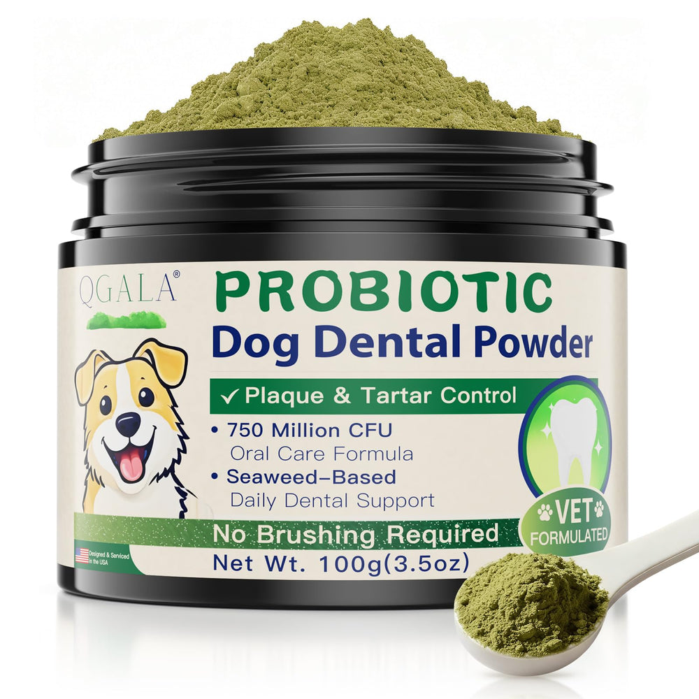 Qgala poudre dentaire chien doseur — dosage quotidien simple pour repas