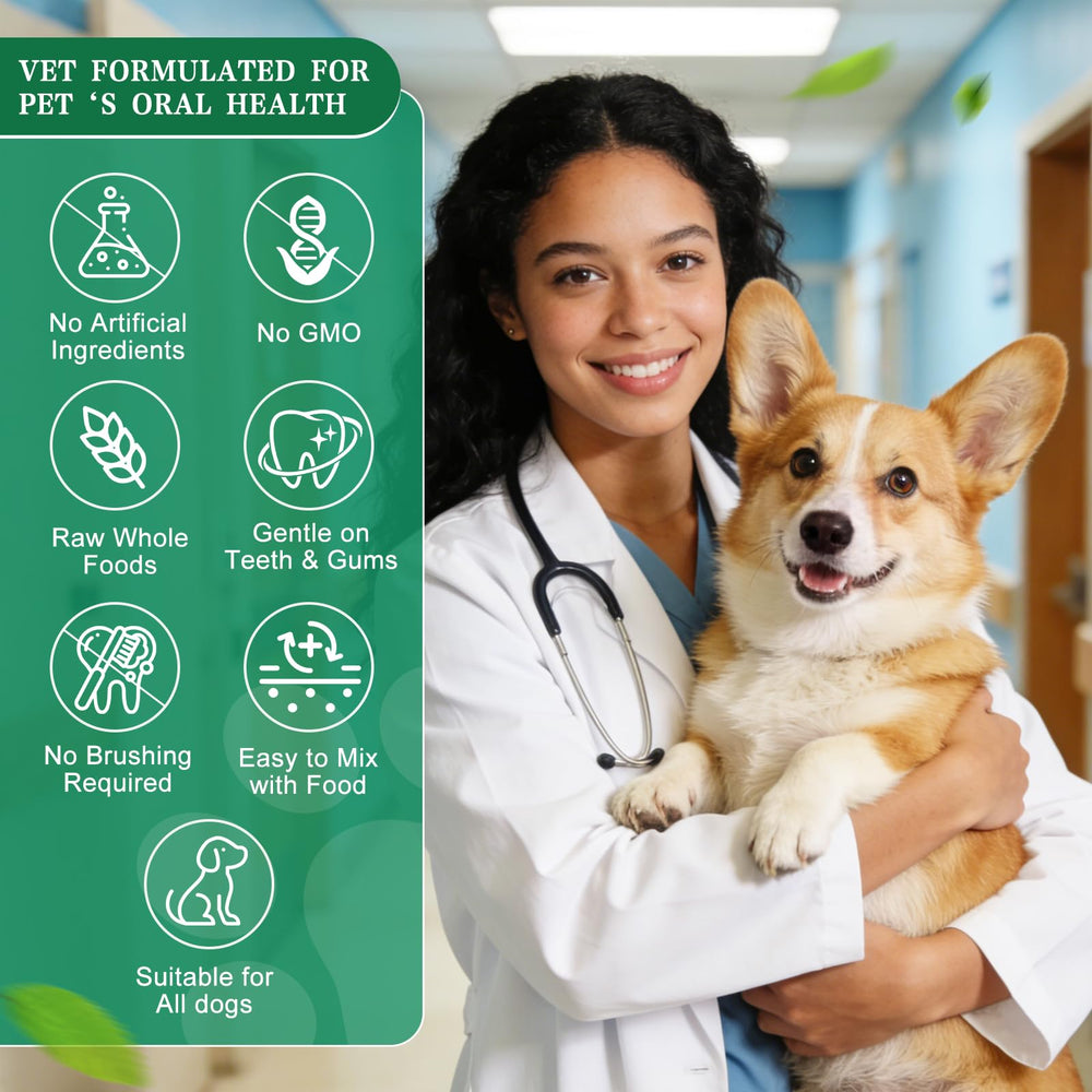Qgala poudre dentaire chien utilisation quotidienne — facile pour toutes tailles