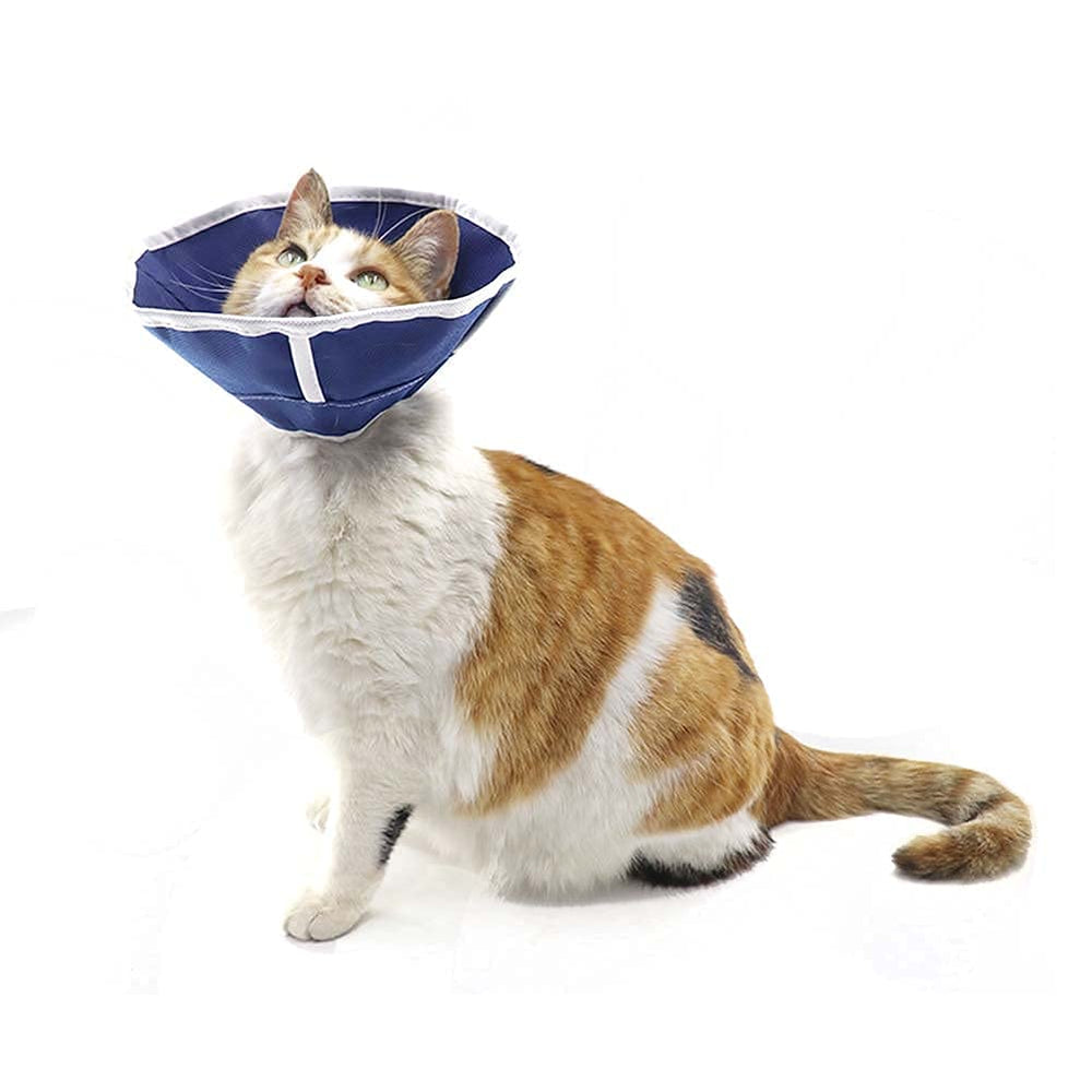 QIYADIN collier guide tailles chat pour choisir la taille