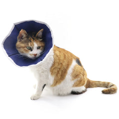 QIYADIN collier recuperation chat doux pour le repos post-operatoire
