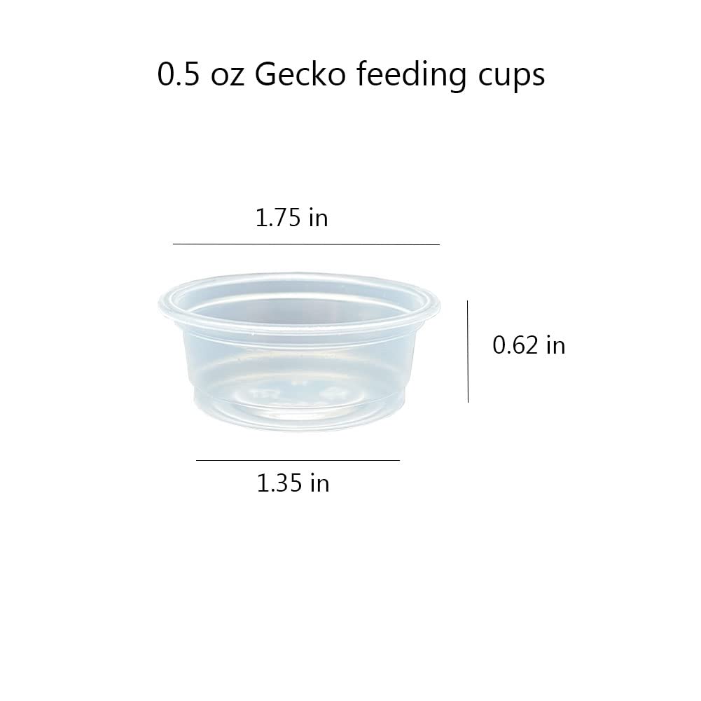Lot de 100 tasses QIHYCUF, idéal pour nourriture et eau des petits reptiles.