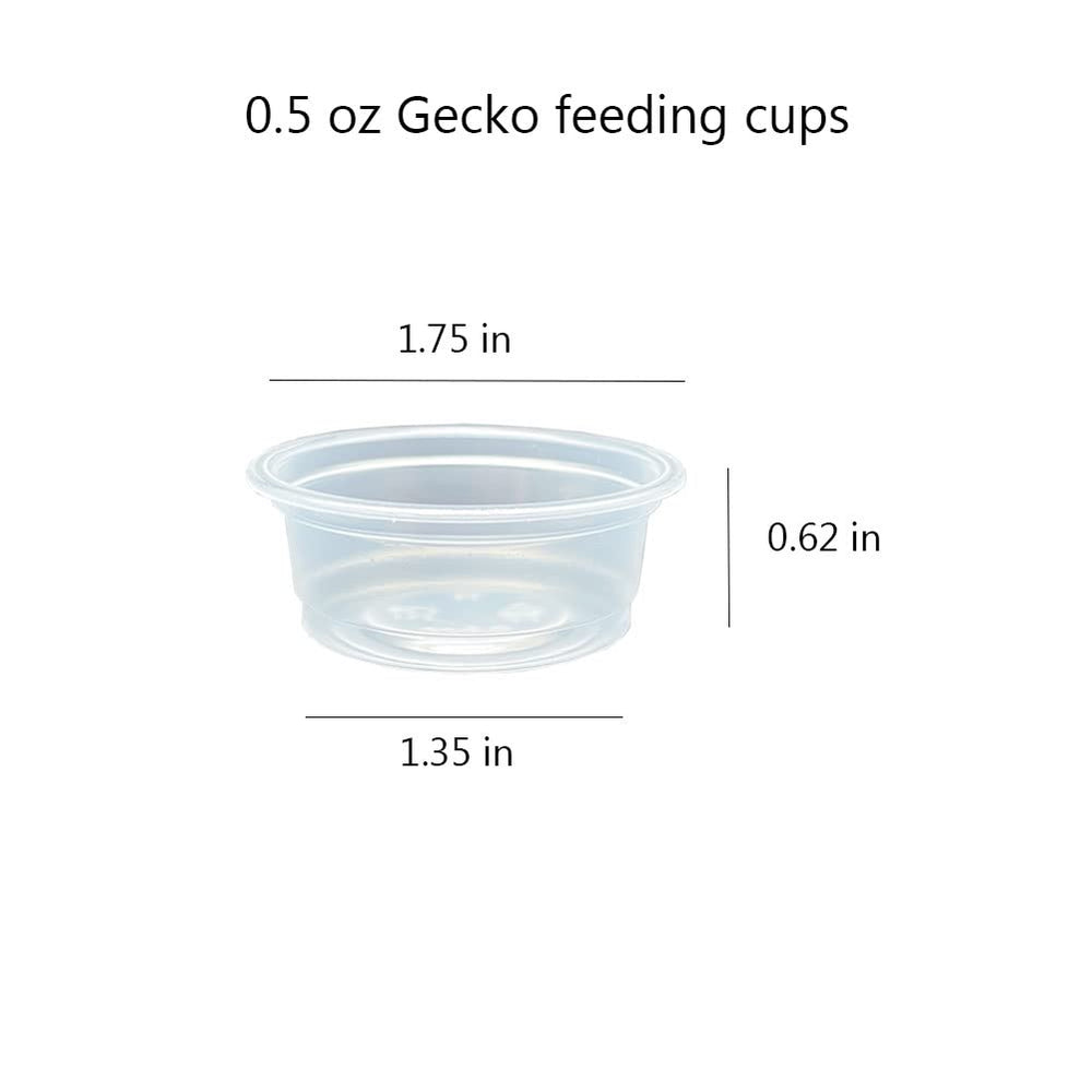 Lot de 100 tasses QIHYCUF, idéal pour nourriture et eau des petits reptiles.