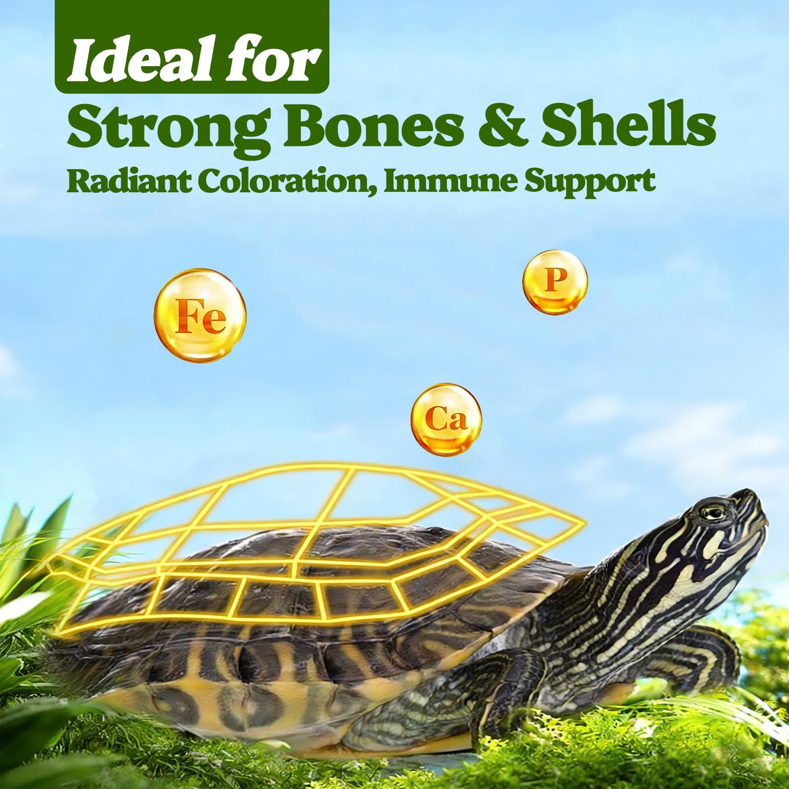 Nourriture Qiliwiki adaptée aux tortues bebe et adultes