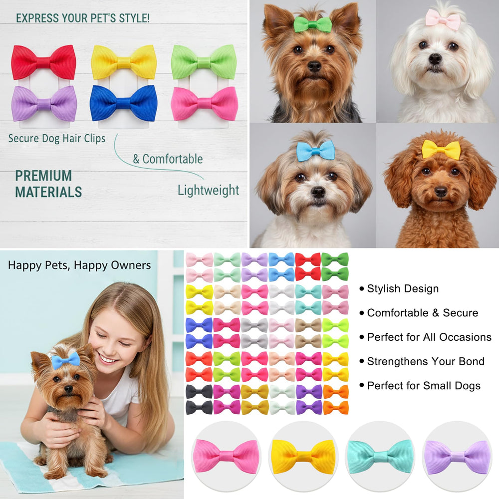 QingHan noeuds chien légers et confortables pour usage quotidien