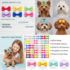 QingHan noeuds chien légers et confortables pour usage quotidien